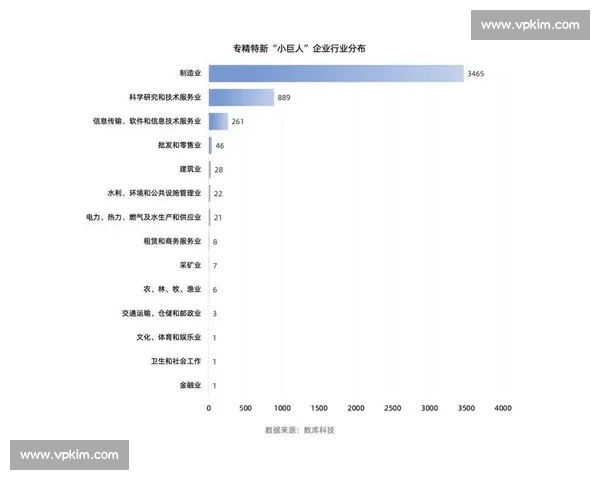 聚焦体育产业高质量发展创新运营整体解决方案与资本赋能实践路径